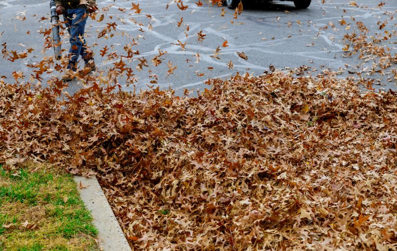 Leaf Removal Services