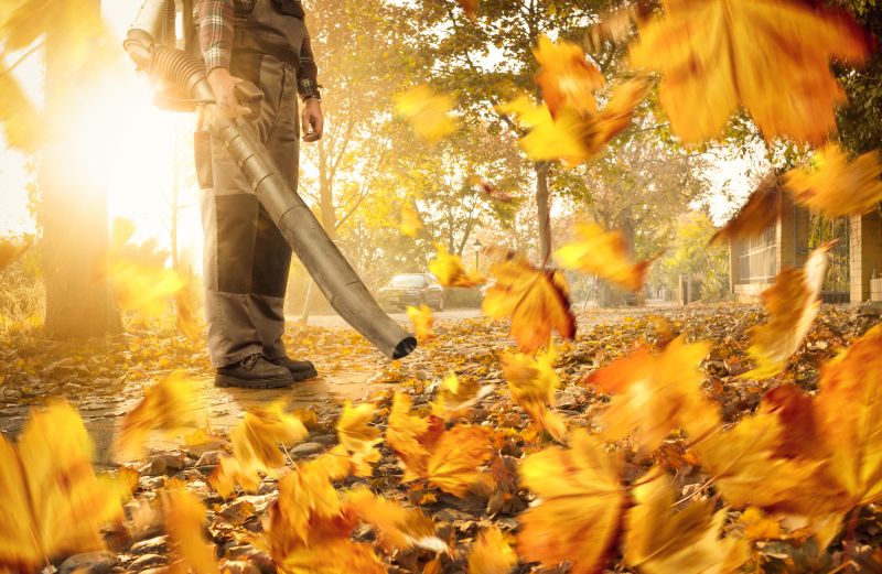 Leaf Blowing Equipment