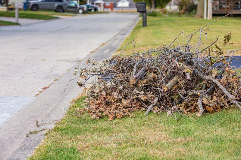 Yard Cleanup