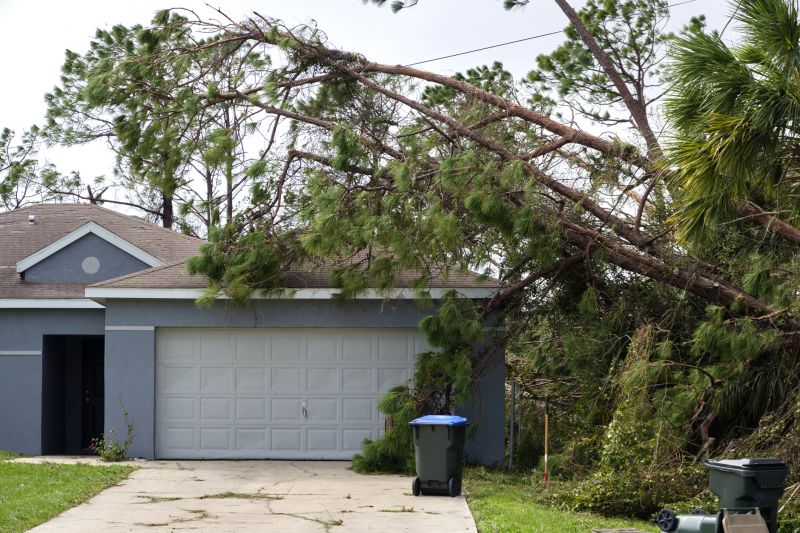 Tree on Residential Property