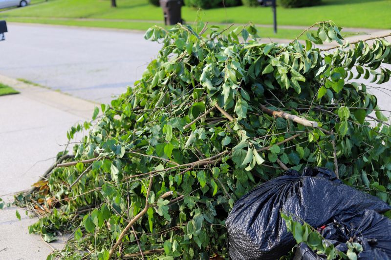 Removed Tree Debris