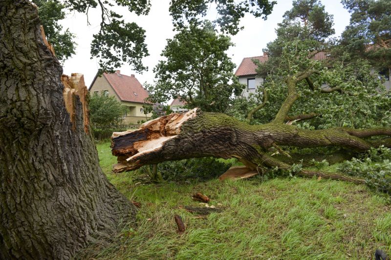 Spring Storm Damage