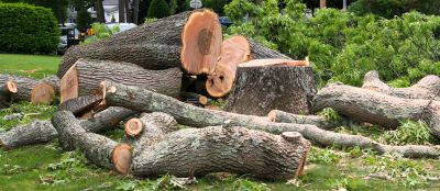 Growth Cycle Considerations