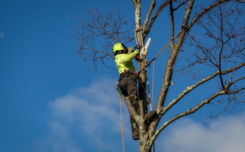 Seasonal Planning